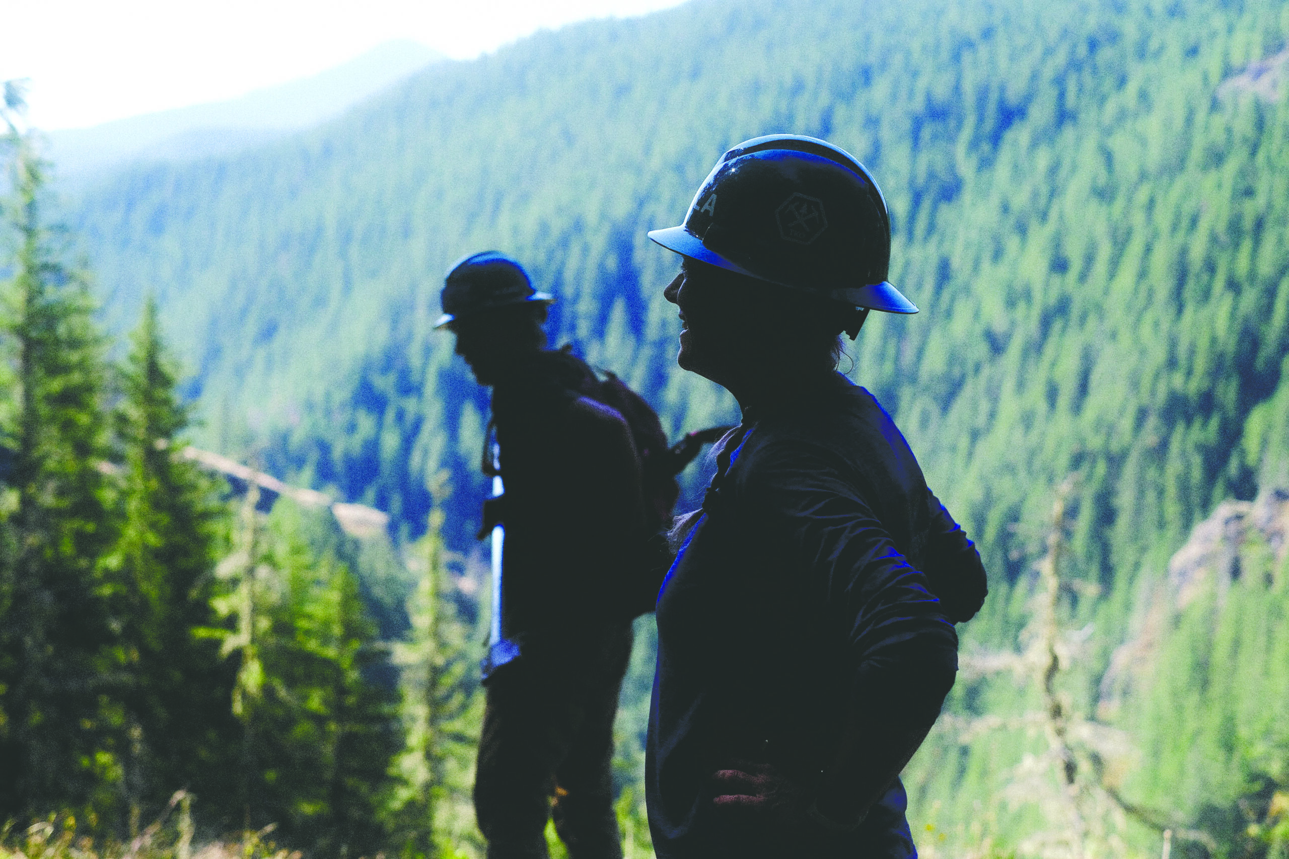 two workers with a vast forest in the background