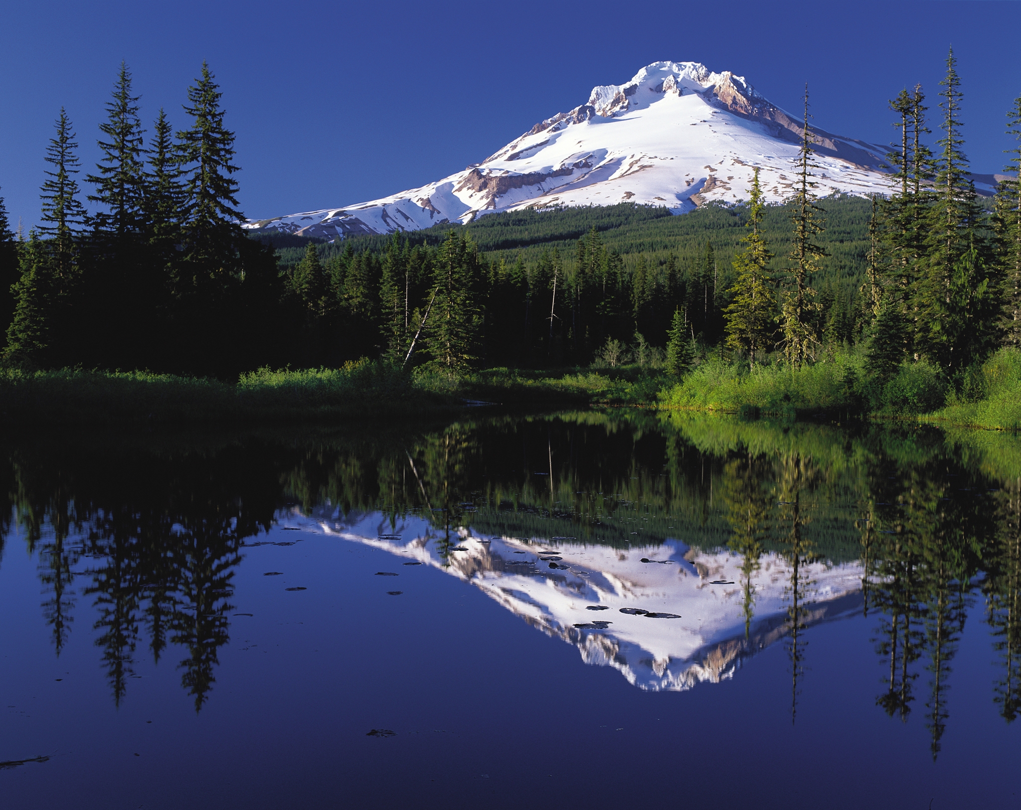 a beautiful view of mount hood