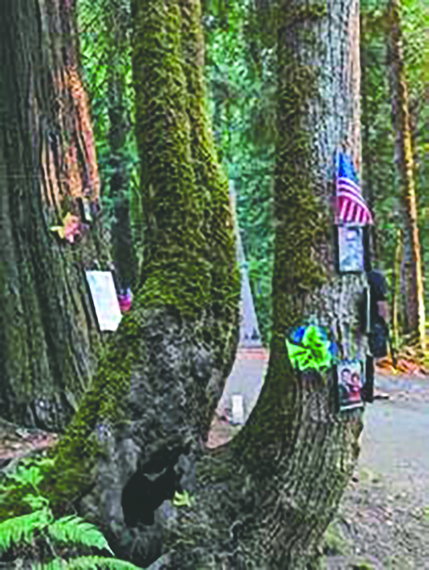 A tree decorated in memorial