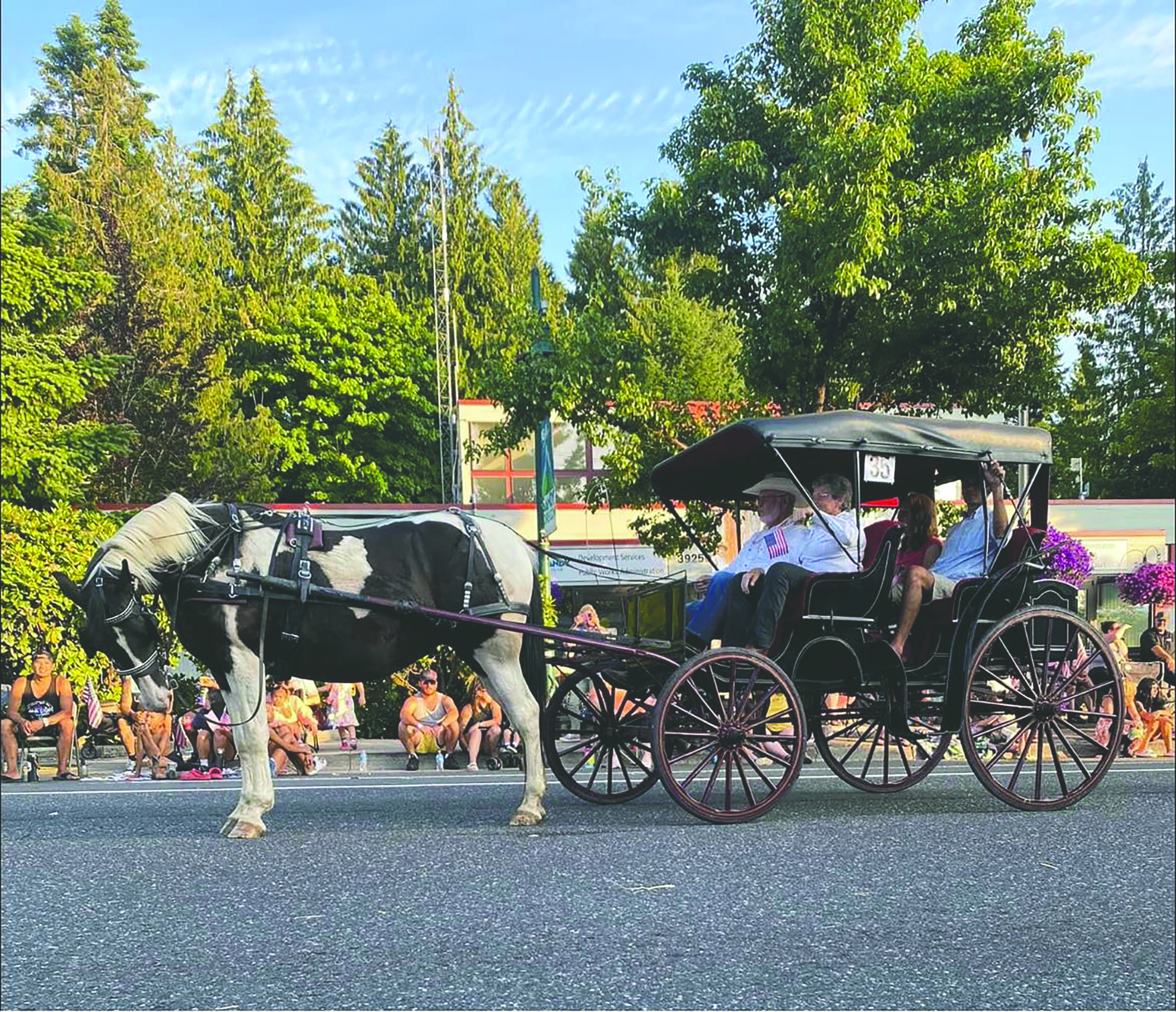 a horse and buggy ready for the festivities