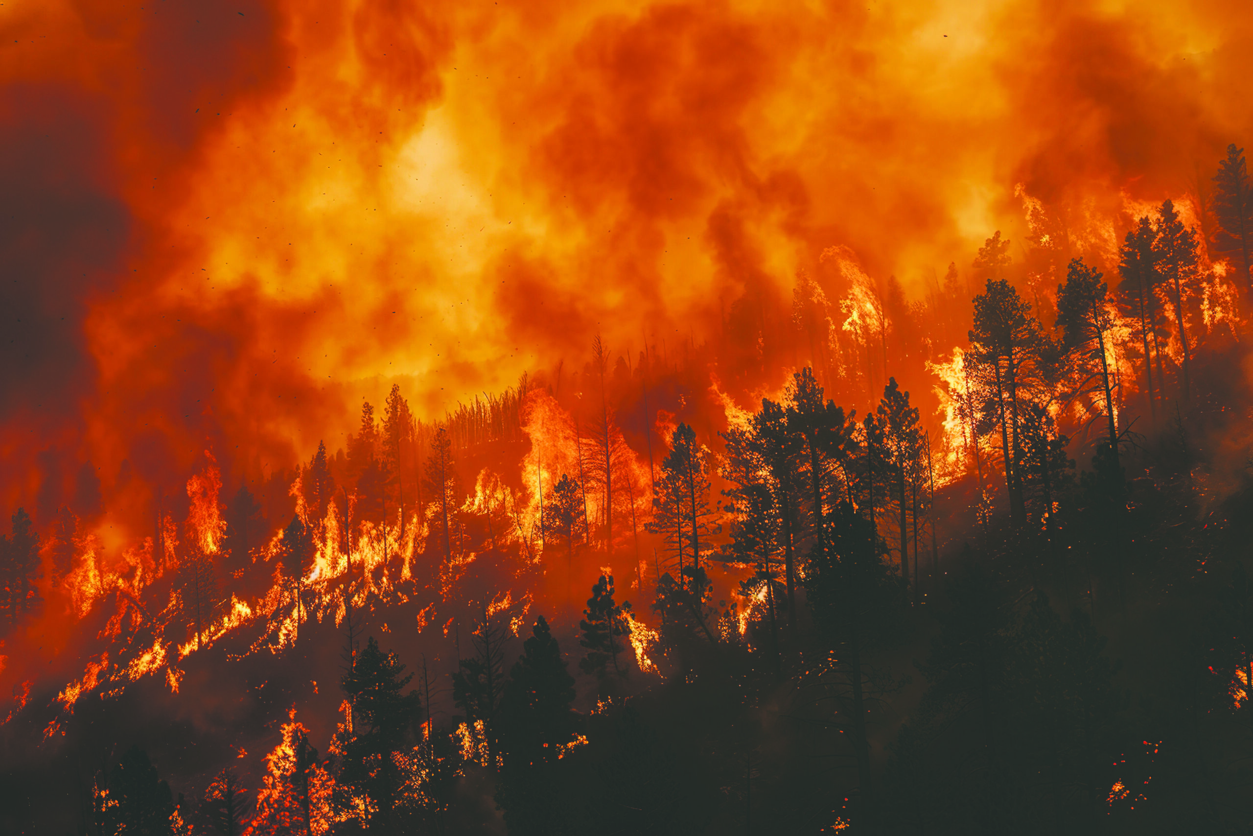 A forest fire is raging through a wooded area, with trees and smoke filling the sky. The fire is intense and spreading rapidly, creating a sense of danger and destruction