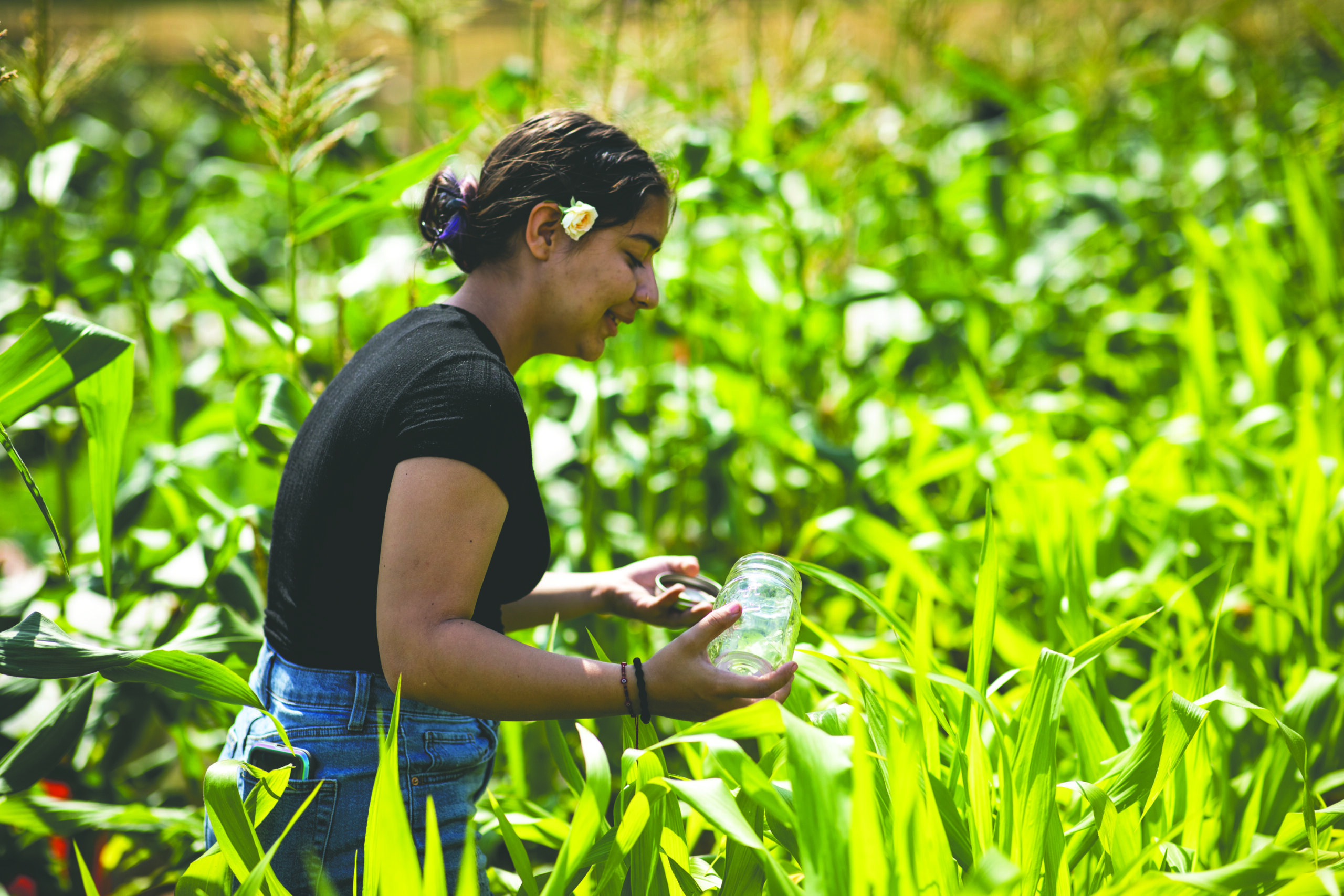 a girl gathers leaves