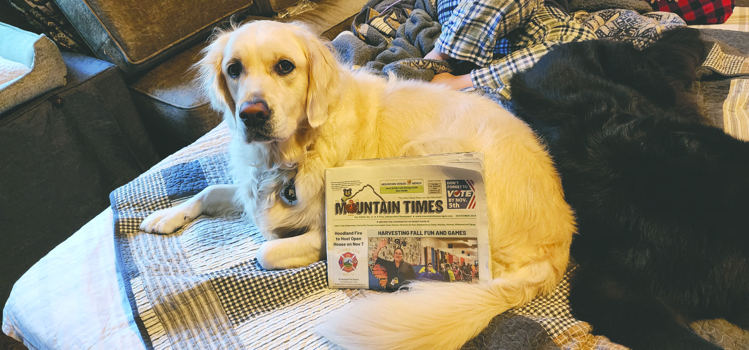 publishers dog with the news paper