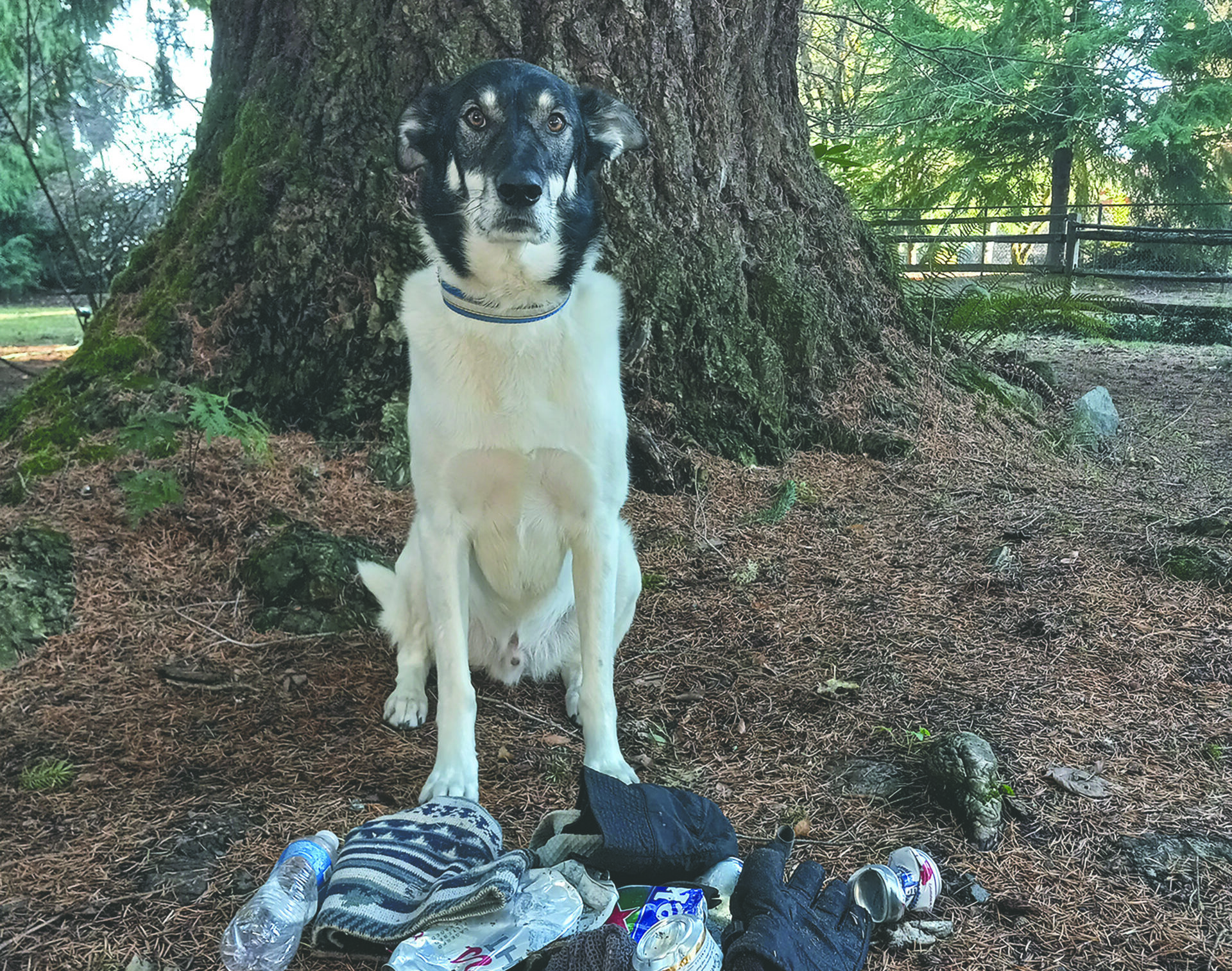 Kinack with his trash haul