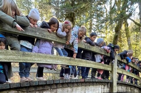 second graders gather on a bridge to watch the salmon swim by