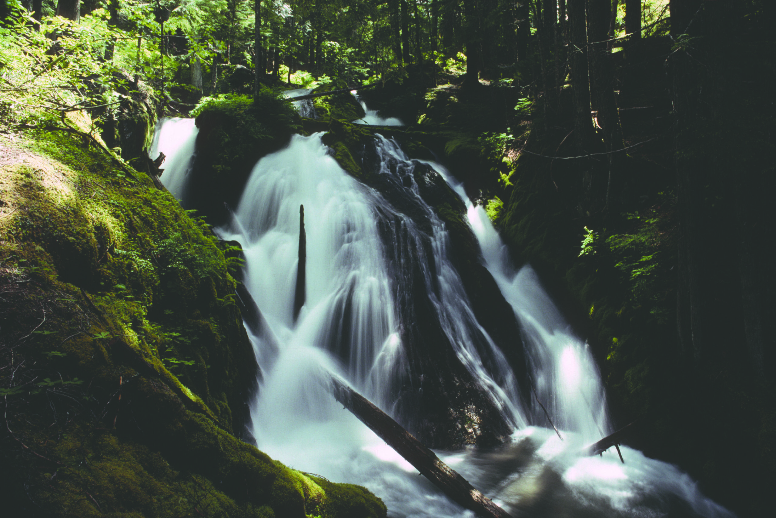 Little ZigZag Falls