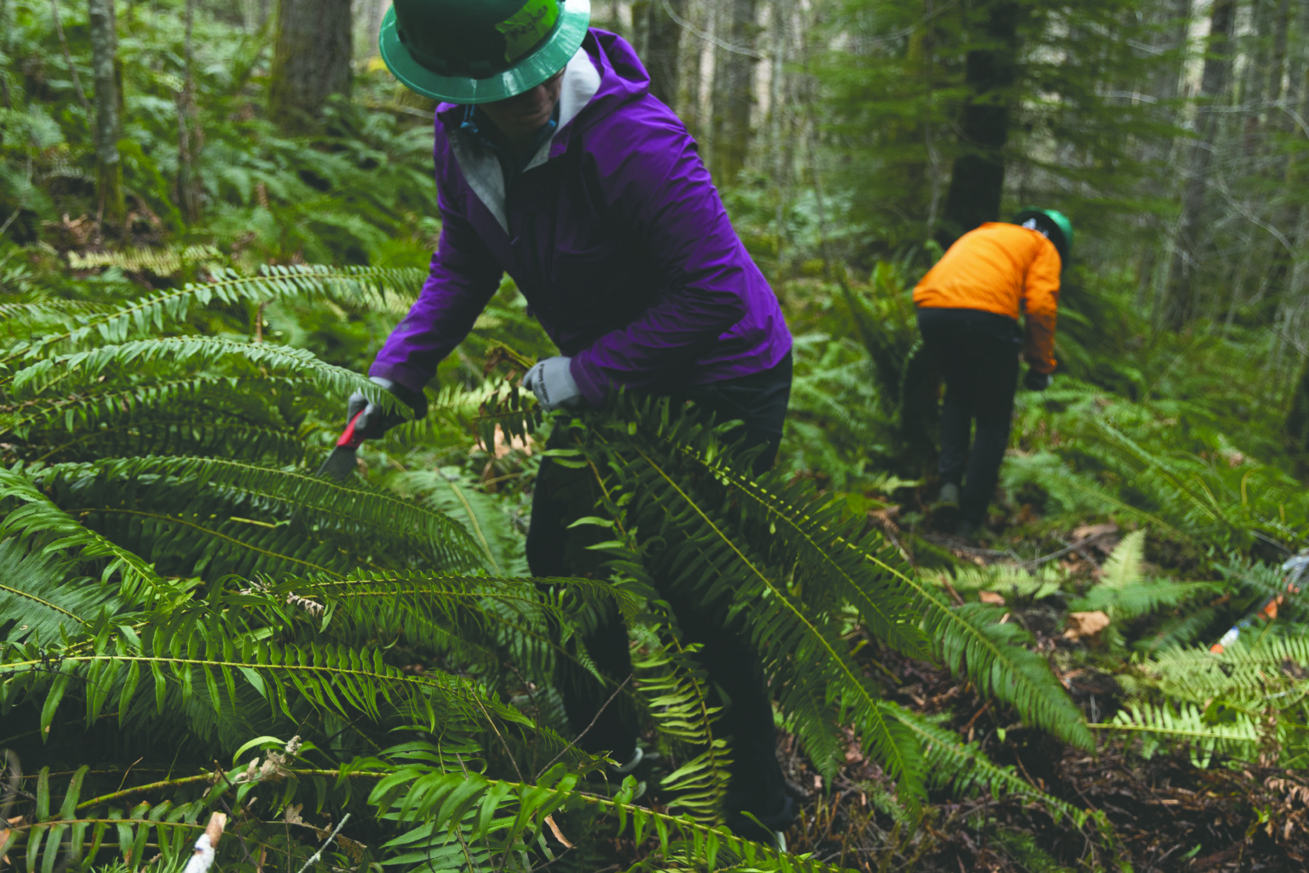 Trailkeepers of Oregon works to keep Hoodland's trails safe for hikers and bikers.