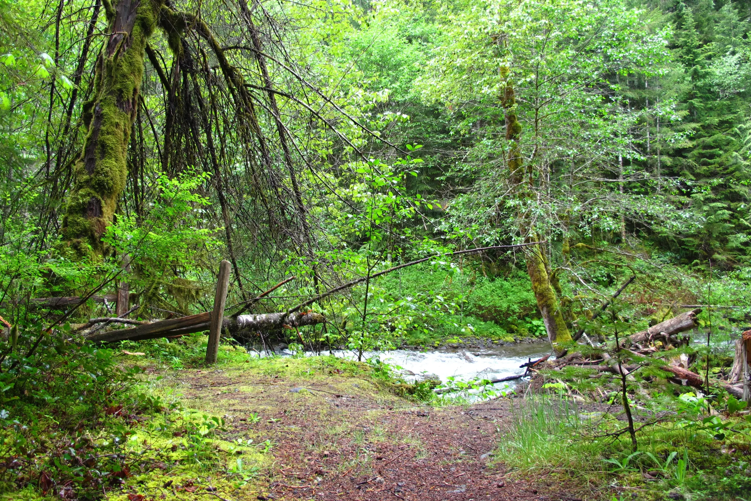 Still Creek